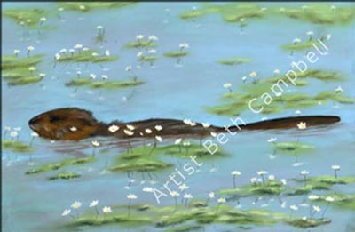 Painting of a Beaver in a Saskatchewan Pond by artist Beth Campbell