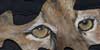 Painting of cougar eyes on an oak leaf by artist Beth Campbell