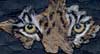 Painting of tiger eyes on an oak leaf by artist Beth Campbell