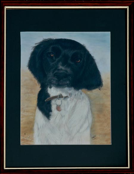 Custom painting of a dog by artist Beth Campbell