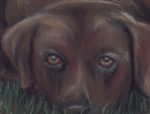 Painting of a farm watchdog