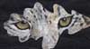 Painting of snow leopard eyes on an oak leaf by artist Beth Campbell